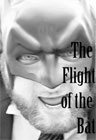 The Flight of the Bat